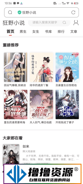 狂野小说网站源码/带管理后台手机端和采集|不死鸟资源网