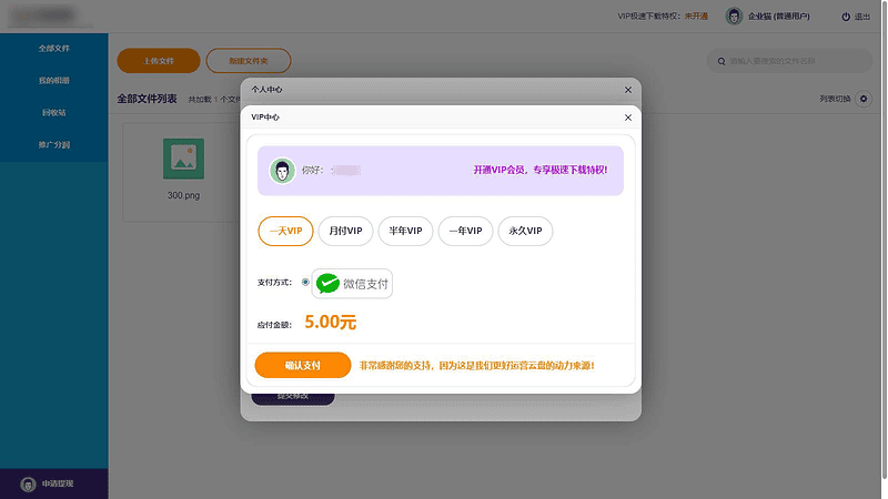 独家版VIP网盘程序源码下载系统分享赚钱云盘系统程序源码|不死鸟资源网