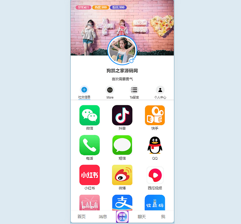 社交个人主页html源码|不死鸟资源网