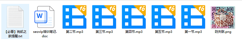 VIP课程-SEO优化教程|不死鸟资源网