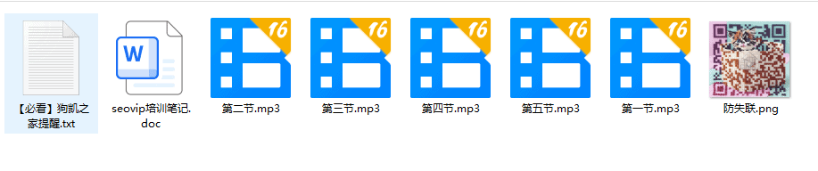 VIP课程-SEO优化教程|不死鸟资源网