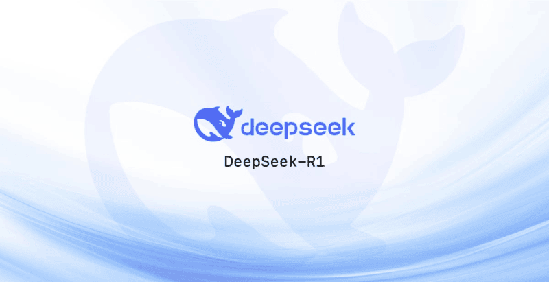 总结白嫖 DeepSeek R1 671B满血版-网页版+API版|不死鸟资源网