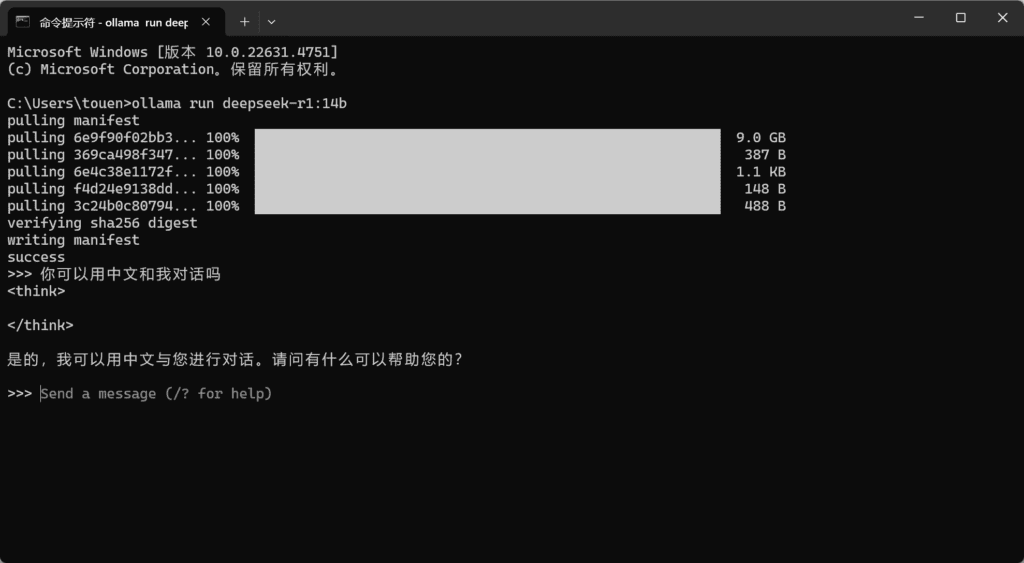 图片[7]|干货，普通人最简单本地部署DeepSeek R1大模型的教程|不死鸟资源网